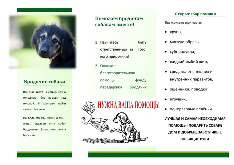 Акция "Верный друг".